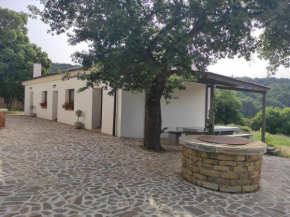 2-bedroom holiday home in Park Istra